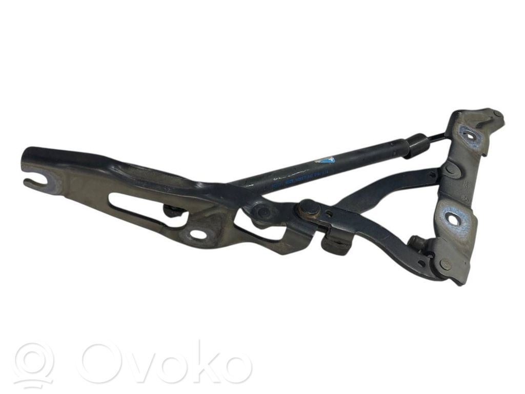 Aizmugurējā pārsega eņģe (-ess)