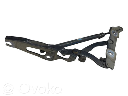 Aizmugurējā pārsega eņģe (-ess)