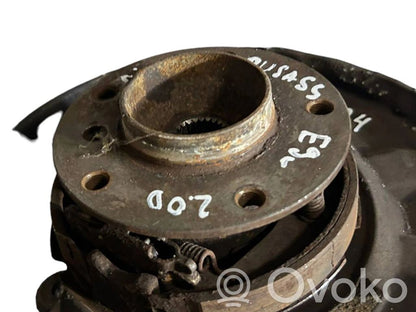 Rear wheel hub shaft joint (stupica, capfa)