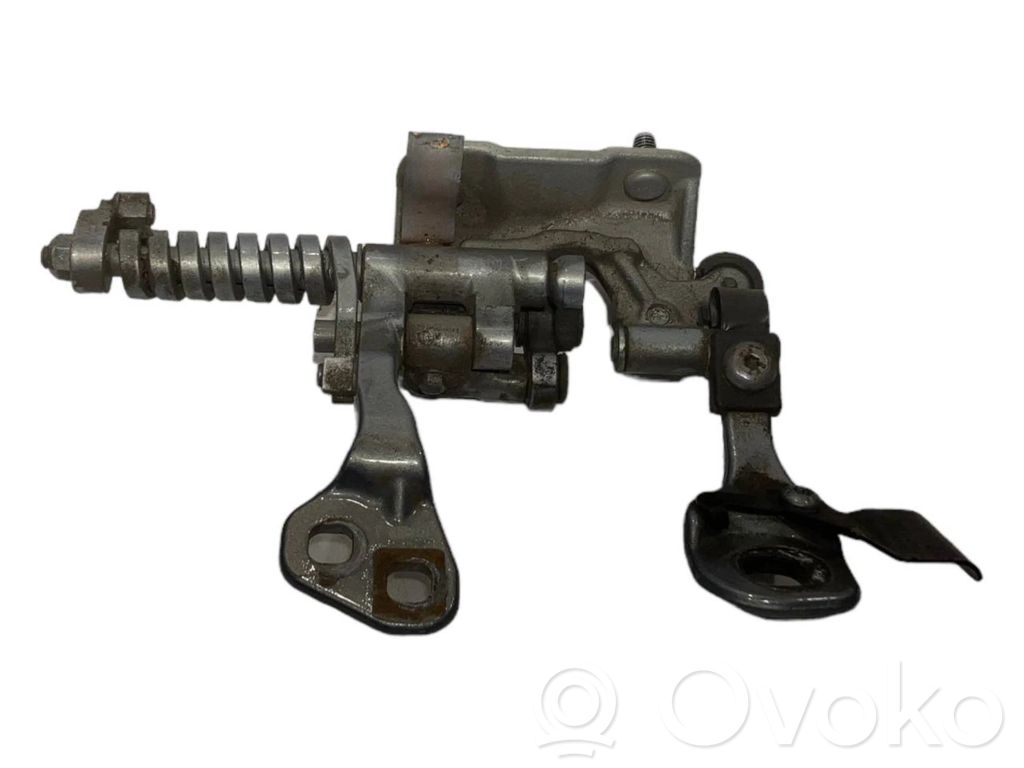 Aizmugurējā pārsega eņģe (-ess)