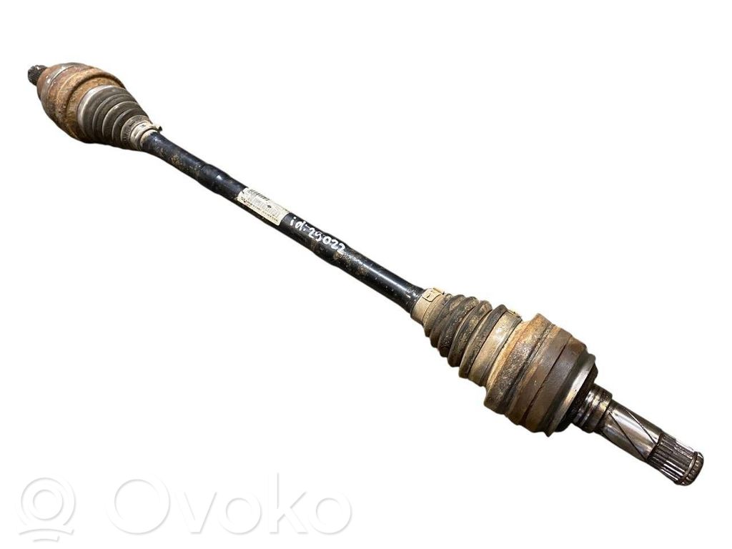 Aizmugurējā pusass