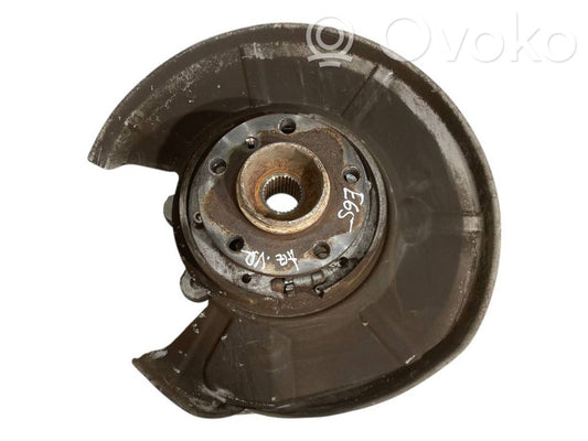 Rear wheel hub shaft joint (stupica, capfa)