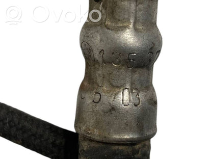 Caurule (-es) / šļūtene (-es)