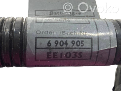 Plusa vads (akumulatora)