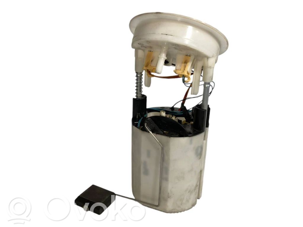 Fuel pump (in the fuel tank)