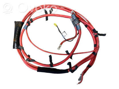 Plusa vads (akumulatora)