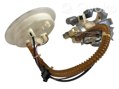 Fuel pump (in the fuel tank)