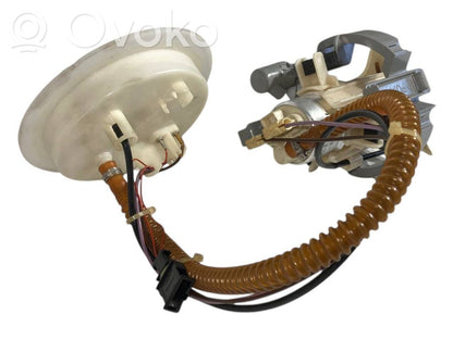 Fuel pump (in the fuel tank)