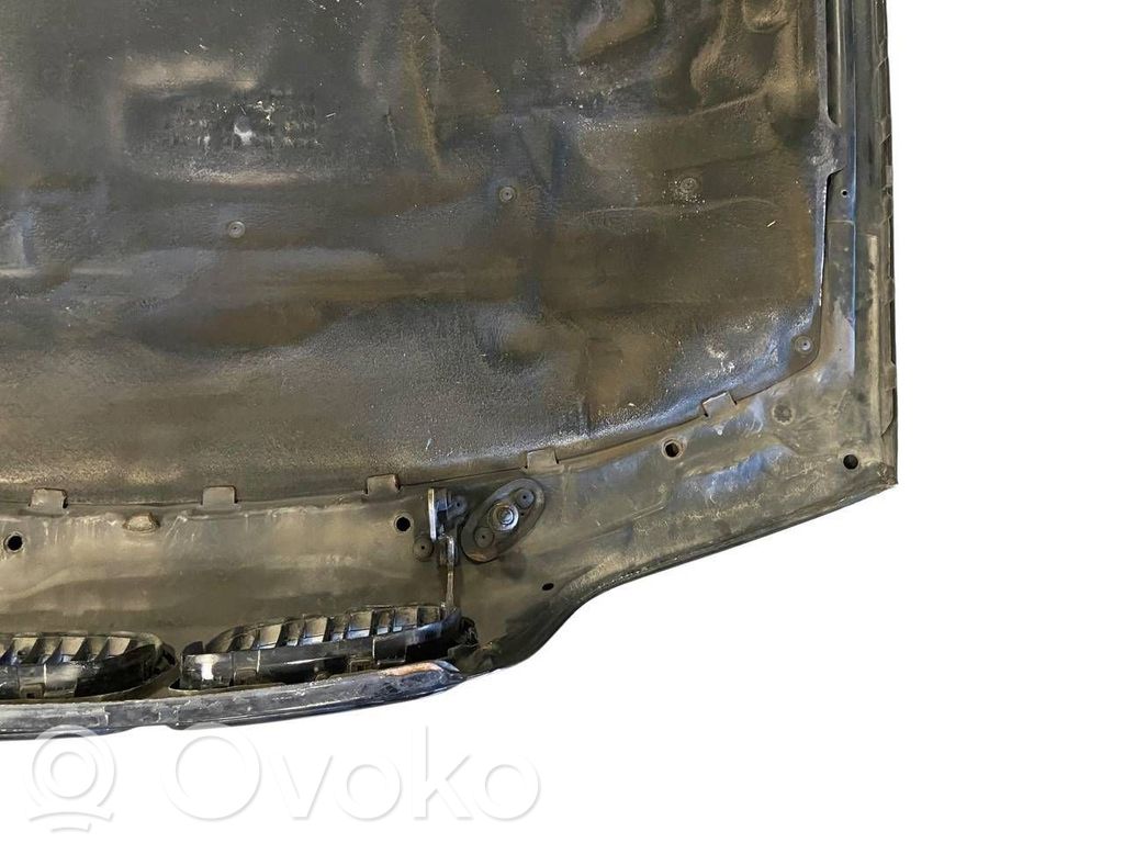 Dzinēja pārsegs (vāks)