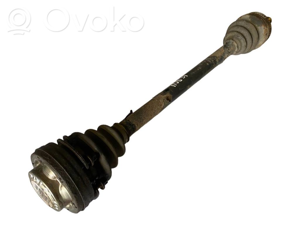 Aizmugurējā pusass