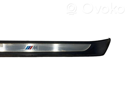Front sill trim (inner)