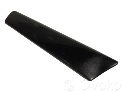 Fender decorative trim (molding)