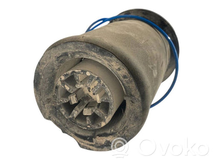 Aizmugurē gaisa spilvens