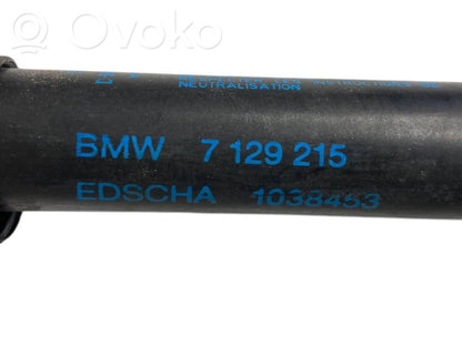 Bagāžnieka amortizators