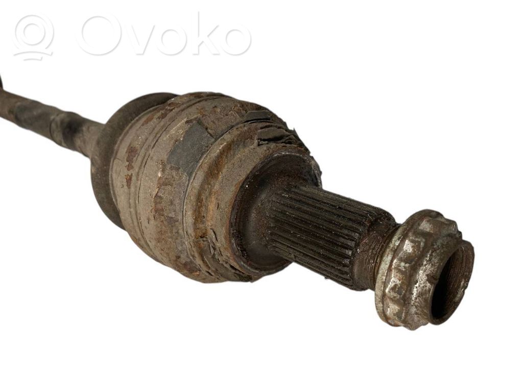 Aizmugurējā pusass