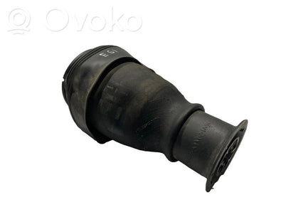 Rear airbag