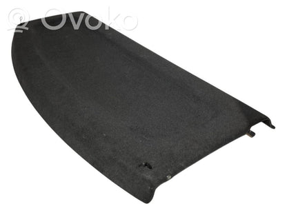 Aizmugurējā palodze