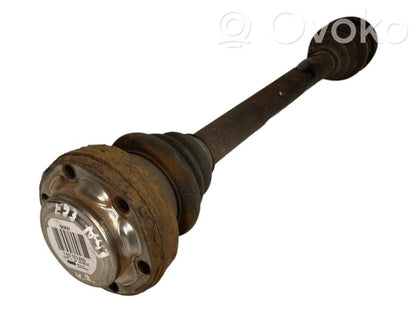 Aizmugurējā pusass