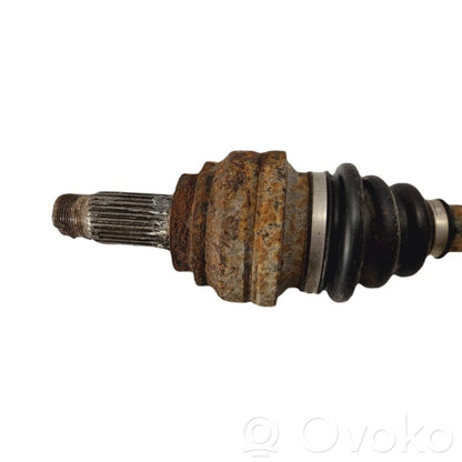 Aizmugurējā pusass