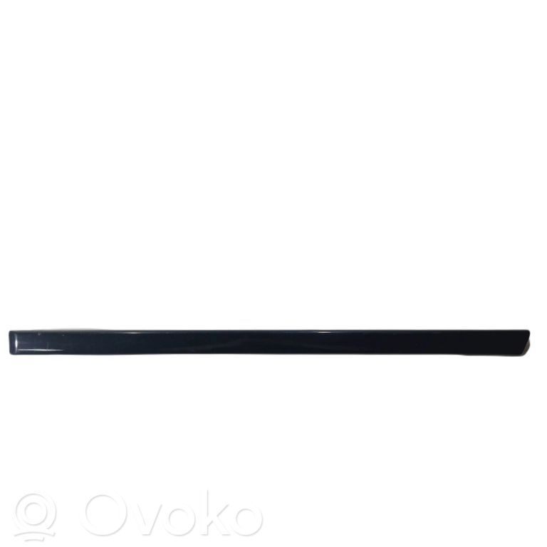 Aizmugurē durvju dekoratīvā apdare (moldings)