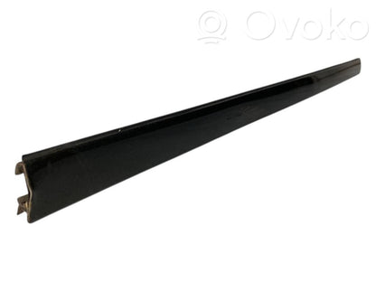 Aizmugurē durvju dekoratīvā apdare (moldings)