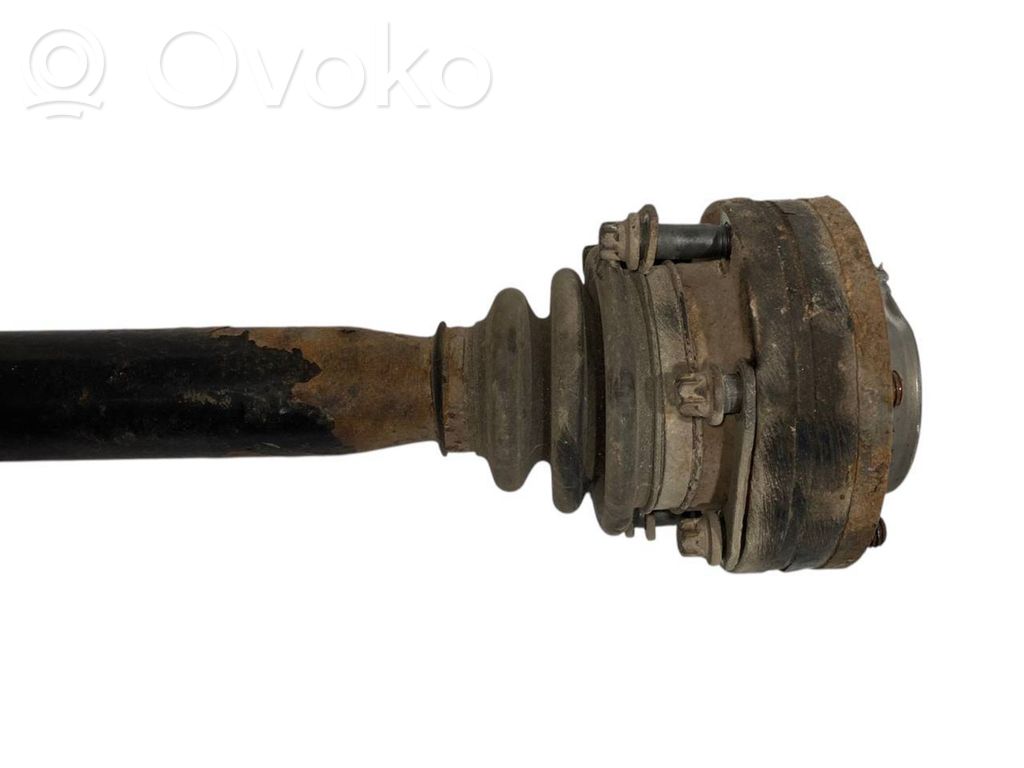 Aizmugurējā pusass