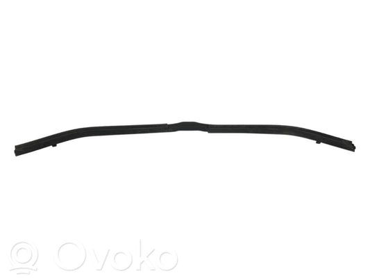 Dzinēja nodalījuma gumija