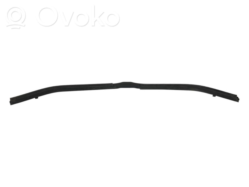 Dzinēja nodalījuma gumija