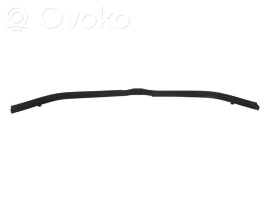 Dzinēja nodalījuma gumija