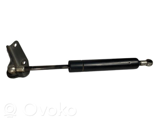 Bagāžnieka amortizators