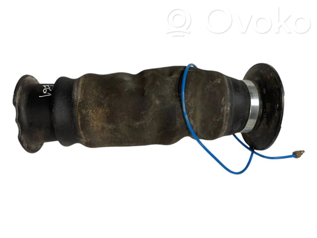 Aizmugurē gaisa spilvens