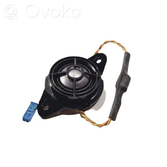 Speaker(s) in the rear door