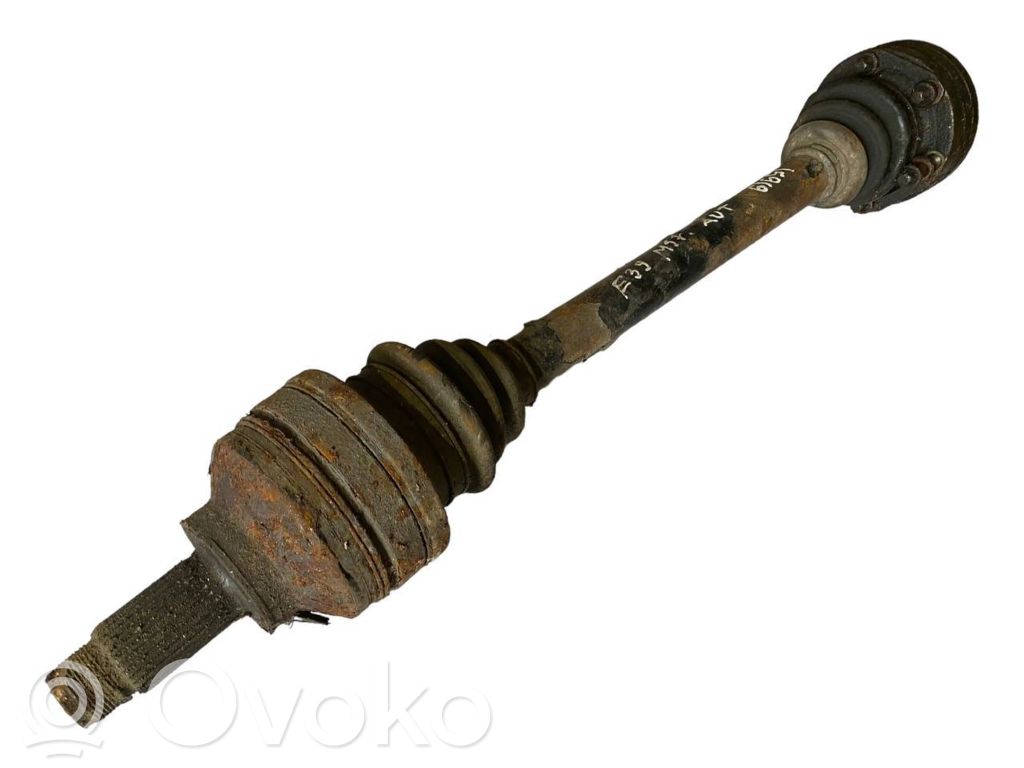 Aizmugurējā pusass