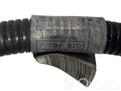 Plusa vads (akumulatora)