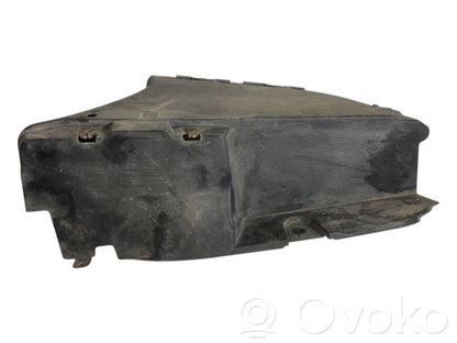 Rear bumper lower guard
