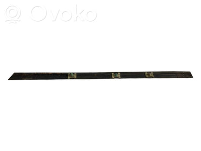 Aizmugurē durvju dekoratīvā apdare (moldings)