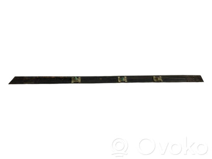 Aizmugurē durvju dekoratīvā apdare (moldings)