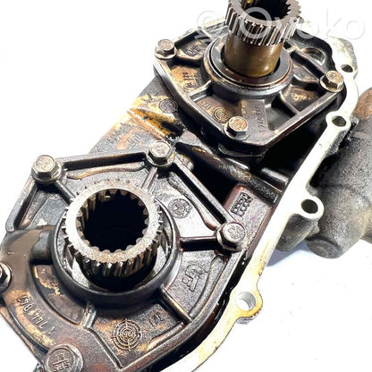 Sadales vārpstas skriemelis / "Vanos"