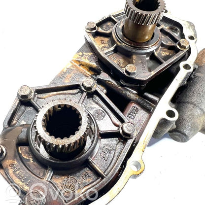 Sadales vārpstas skriemelis / "Vanos"