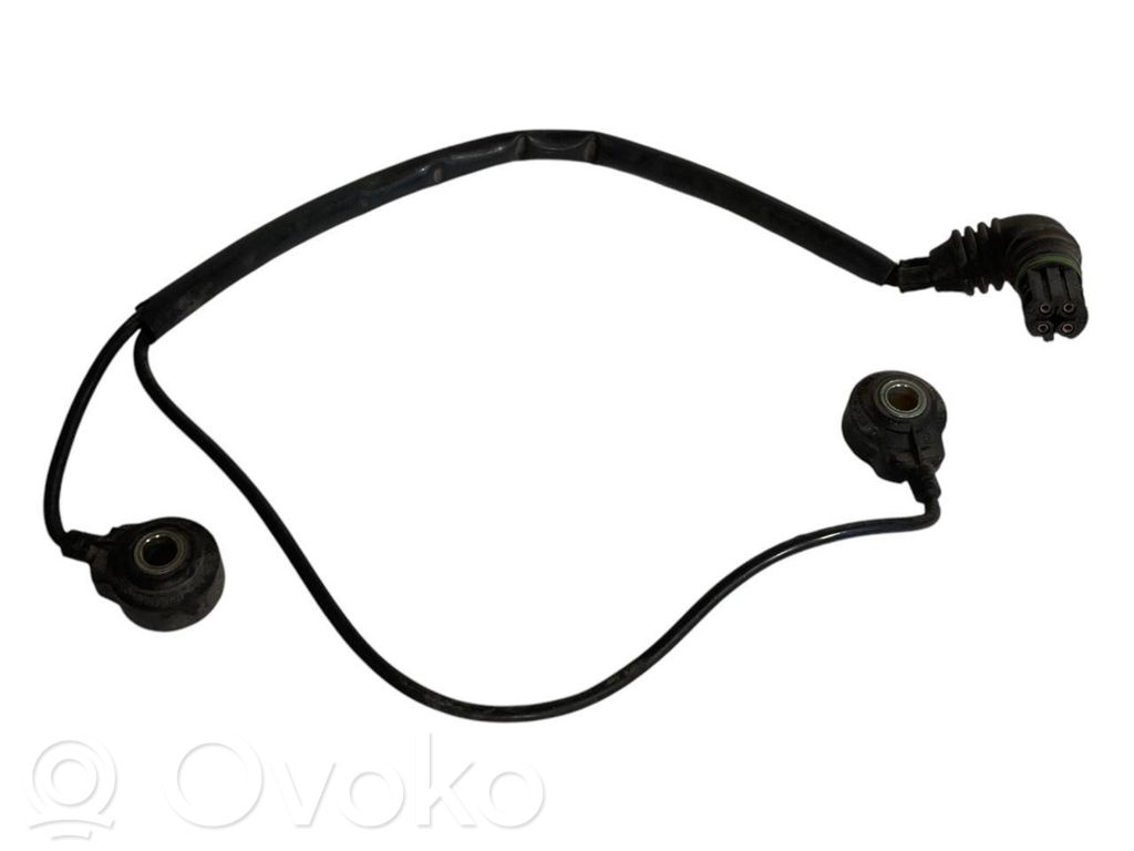 Knock sensor