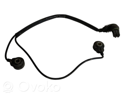 Knock sensor