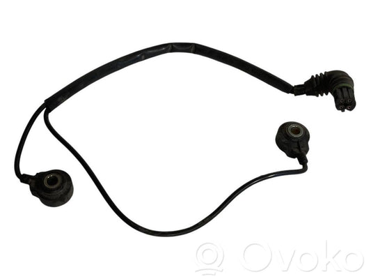 Detonācijas sensors