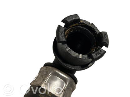 Caurulīte (-es) / šļūtene (-es)