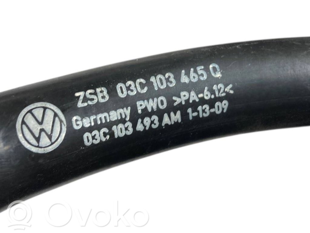 Caurulīte (-es) / šļūtene (-es)