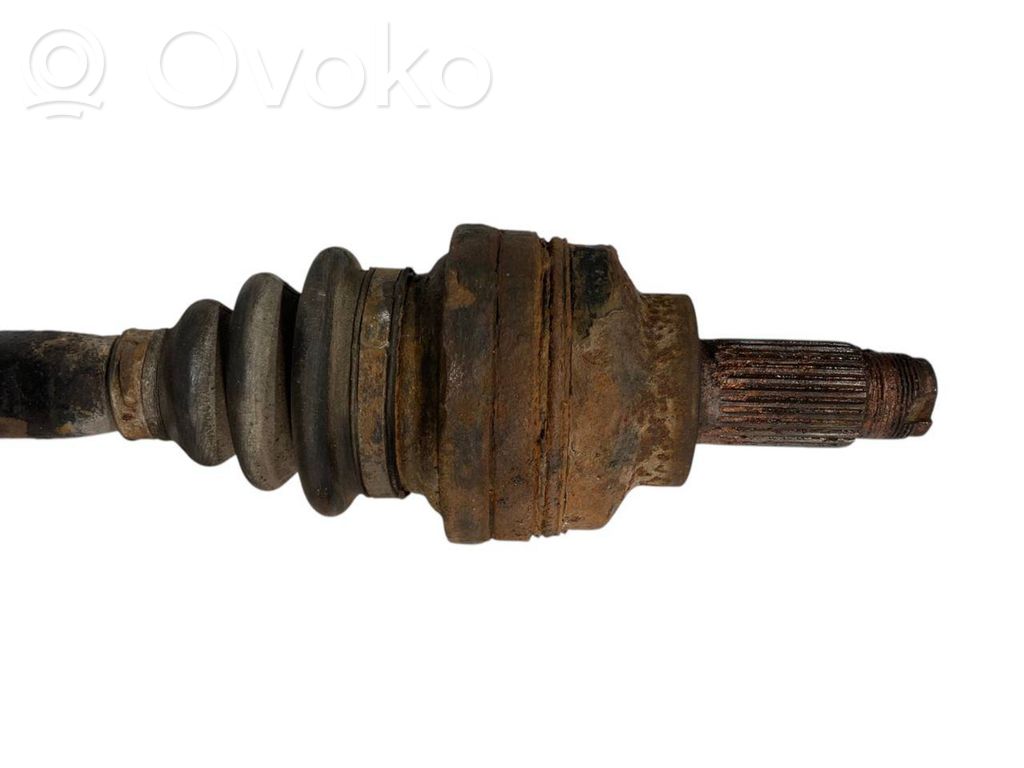 Aizmugurējā pusass