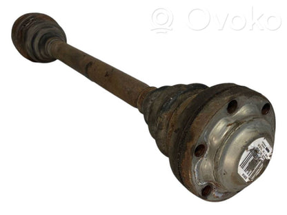 Aizmugurējā pusass