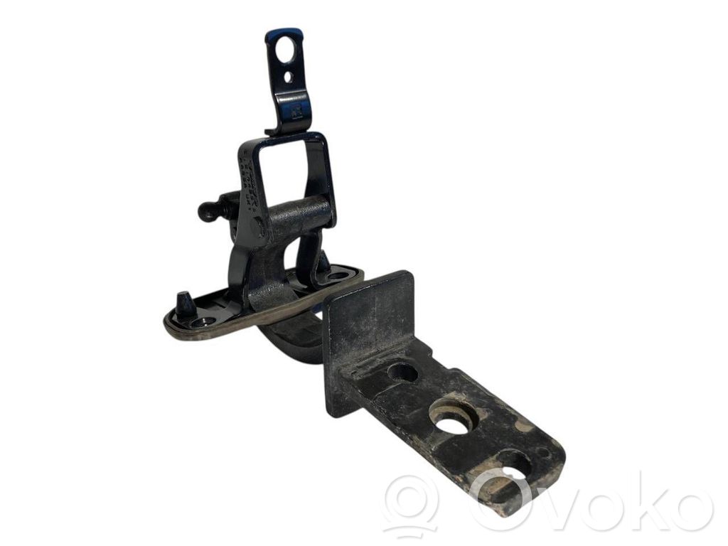 Aizmugurējā pārsega eņģe (-ess)