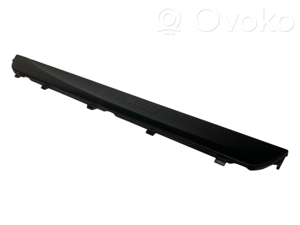 Front sill trim (inner)