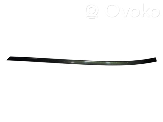 Priekšpusē durvju dekoratīvā apdare (moldings)