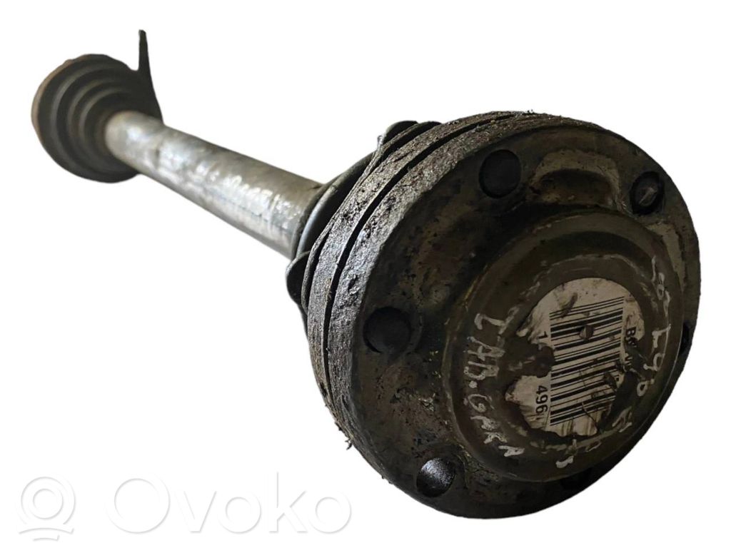 Aizmugurējā pusass